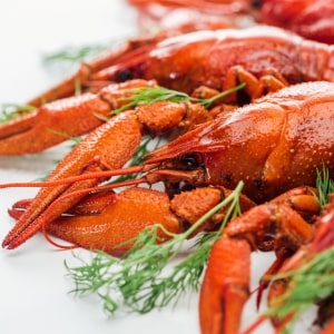 mariscos.jpg